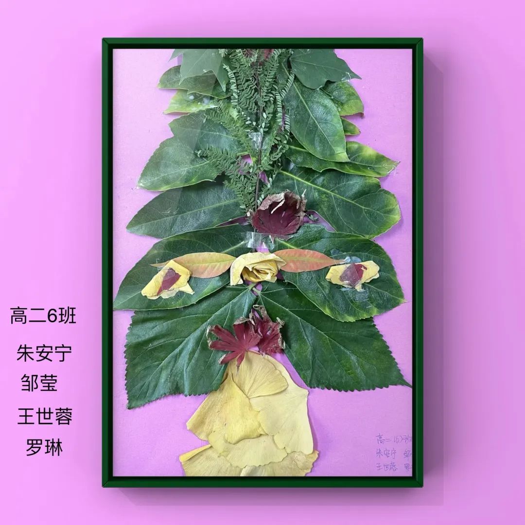 盘龙教育(微信)