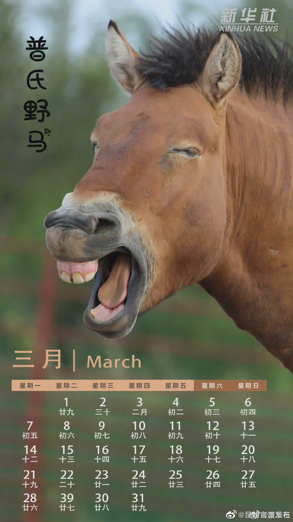 “昆明官渡发布”微博