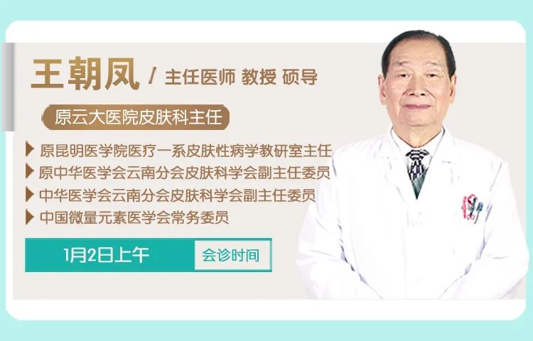 掌上春城微信公众号