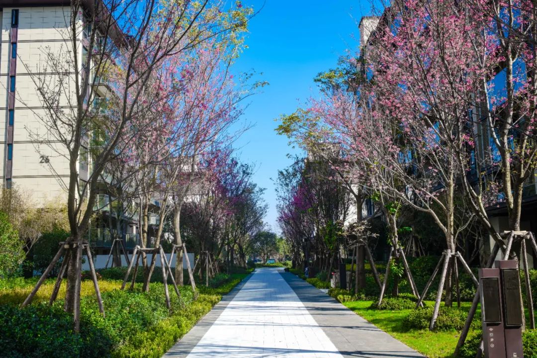 春城晚报