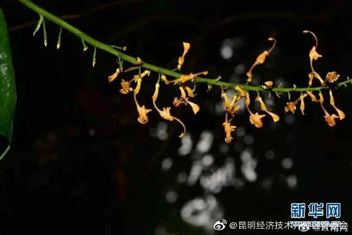 昆明经济技术开发区管委会