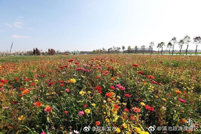 “滇池旅游度假区”微博