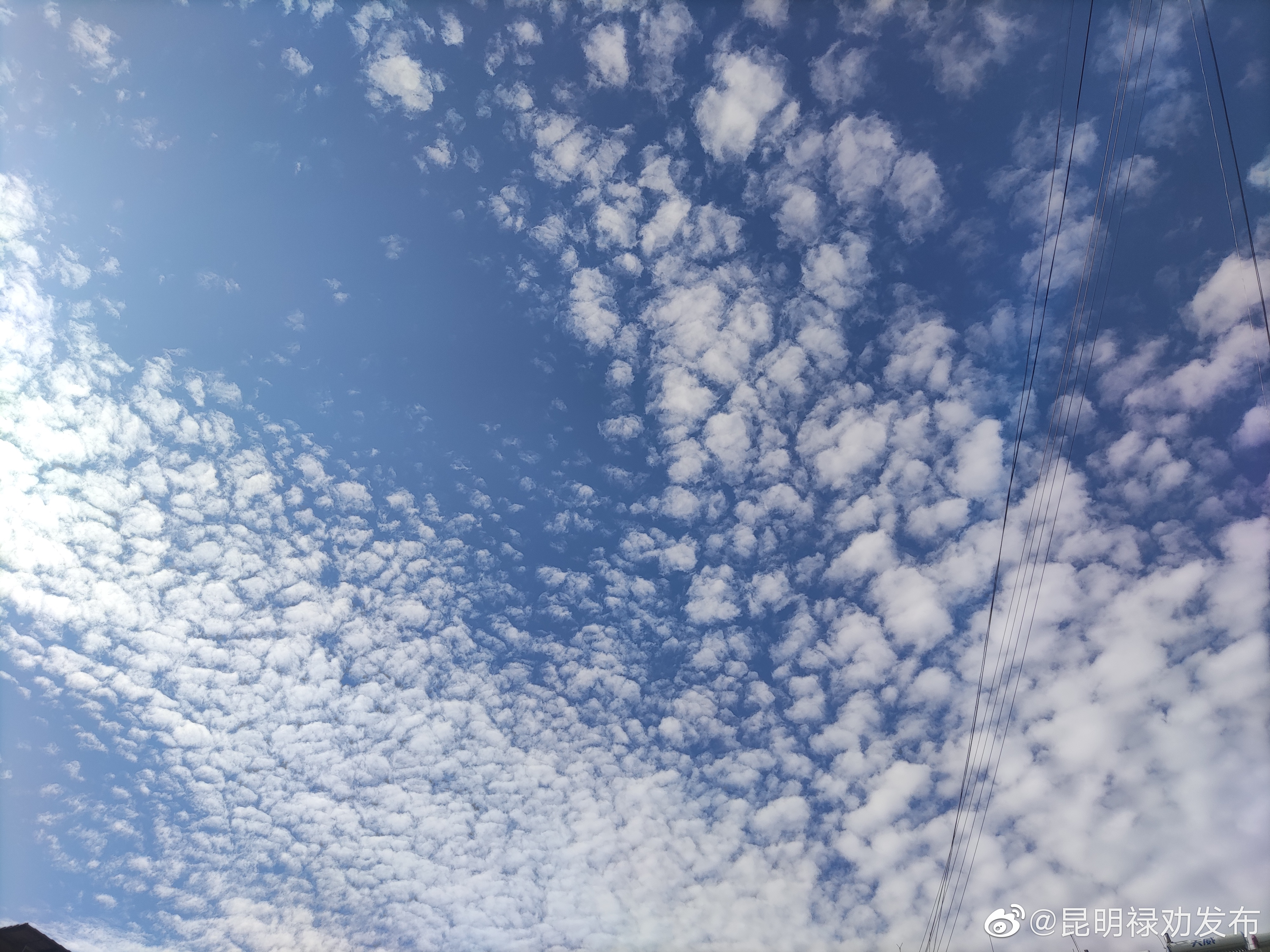 昆明市政府办公室