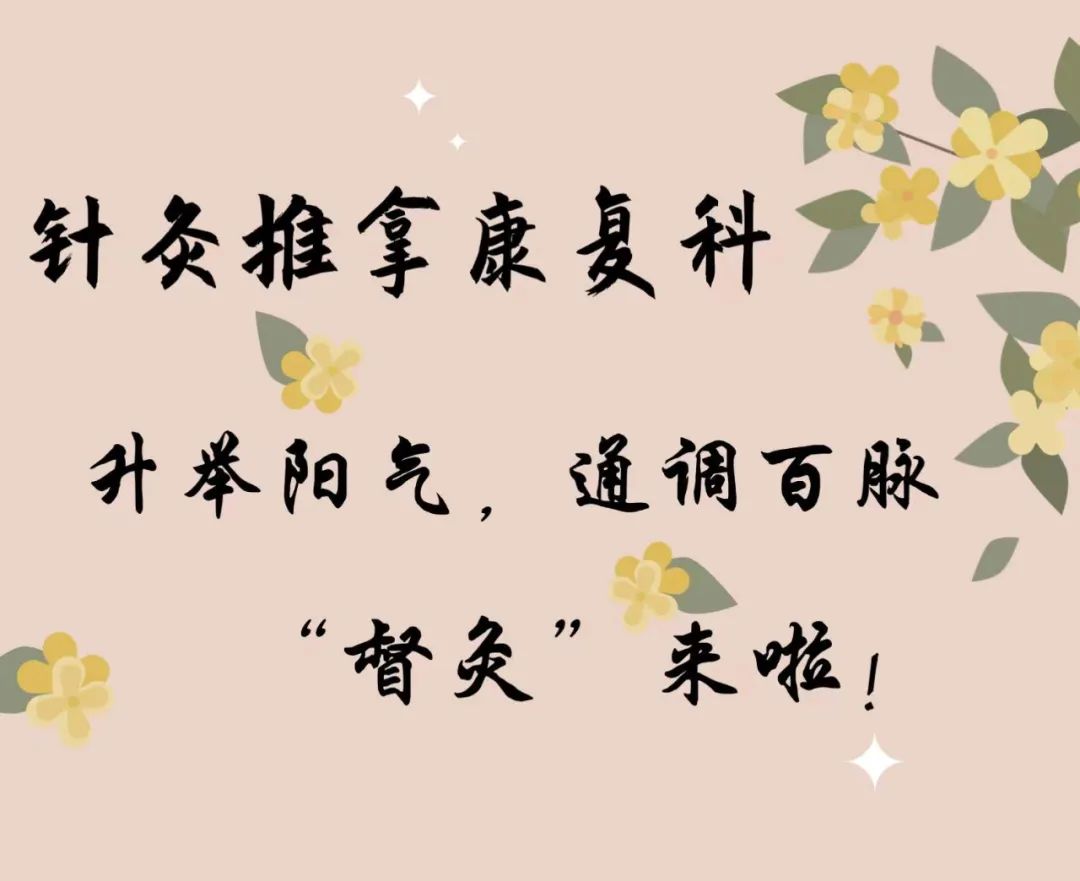 蒙自中医