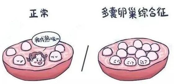 云南省中医医院