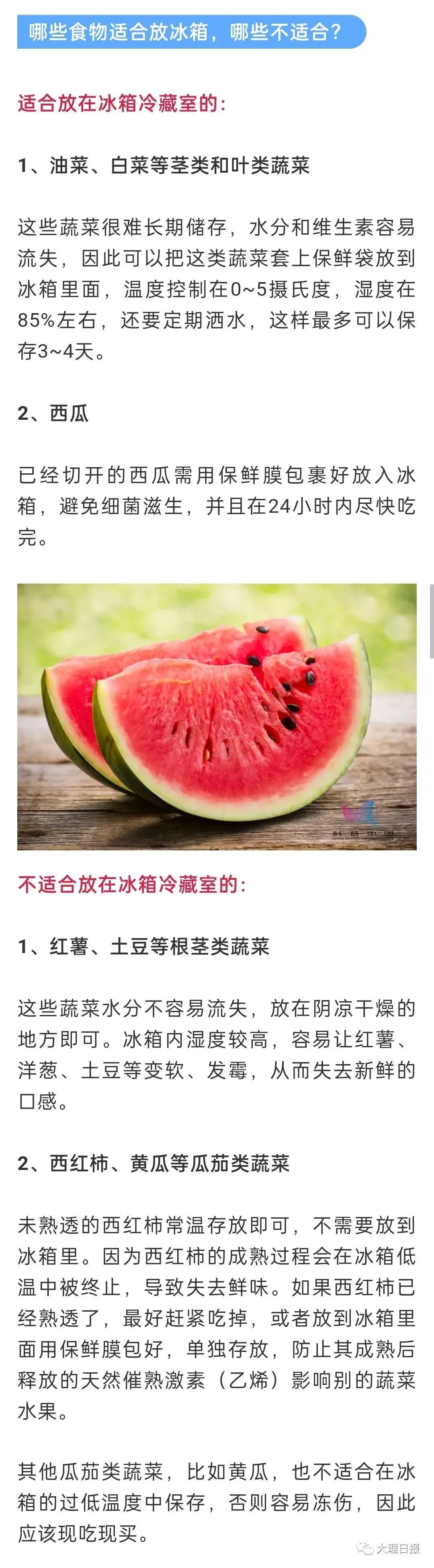 大理日报