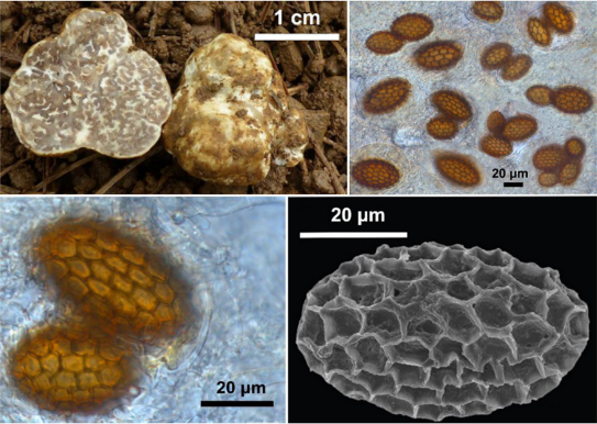 昆明信息港/cnkmxxg