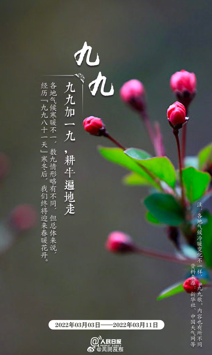 昆明发布