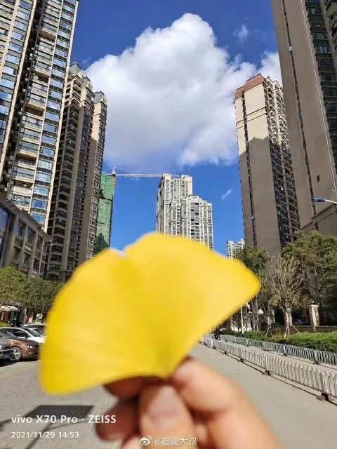 春城晚报