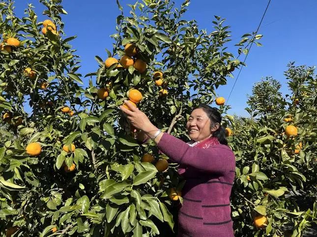 丽江日报