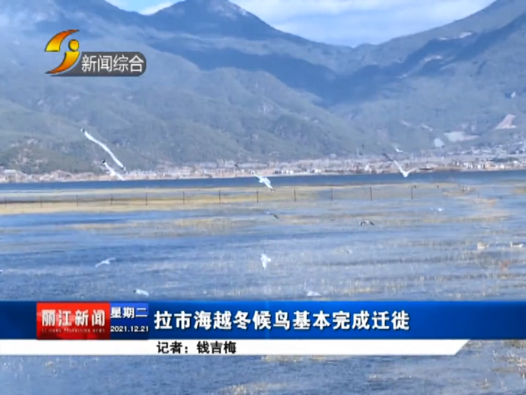 丽江新闻