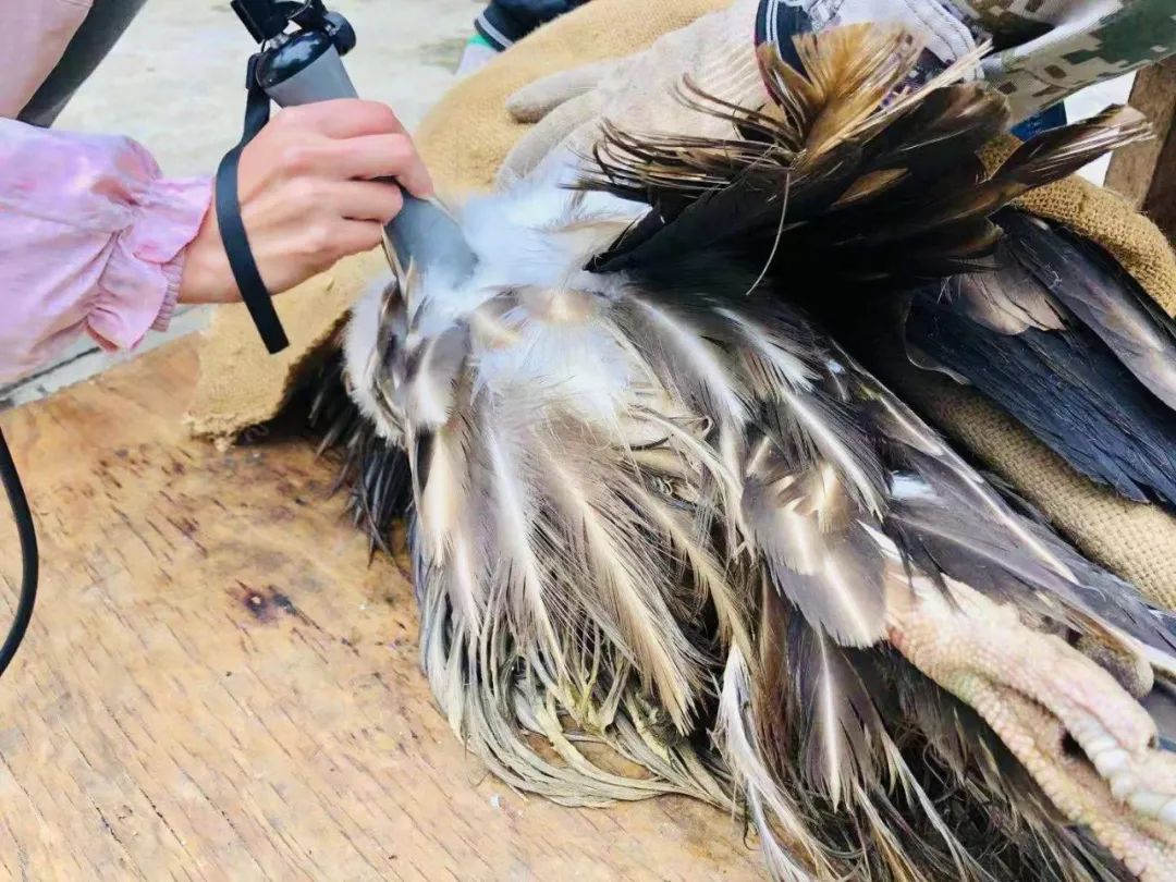 云南野生动物园