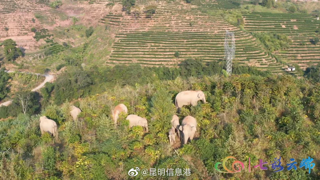 昆明信息港