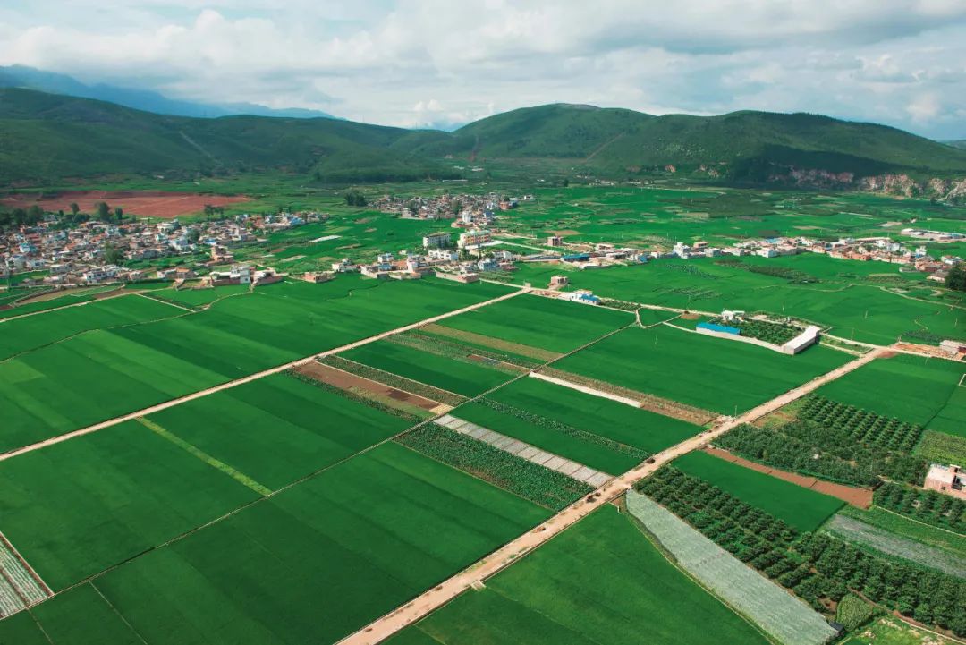 云南省人民政府网