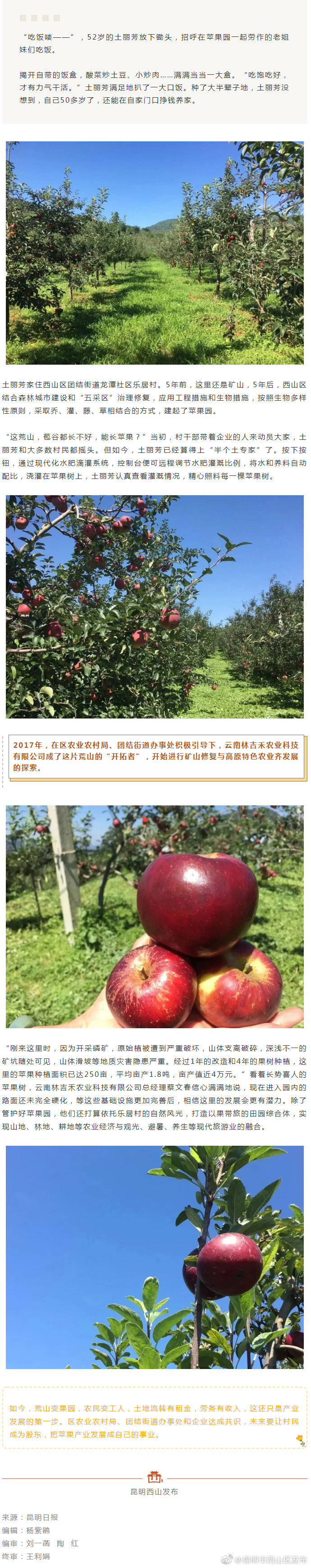 “荒山变果园”助增收！西山区乡村振兴有妙方