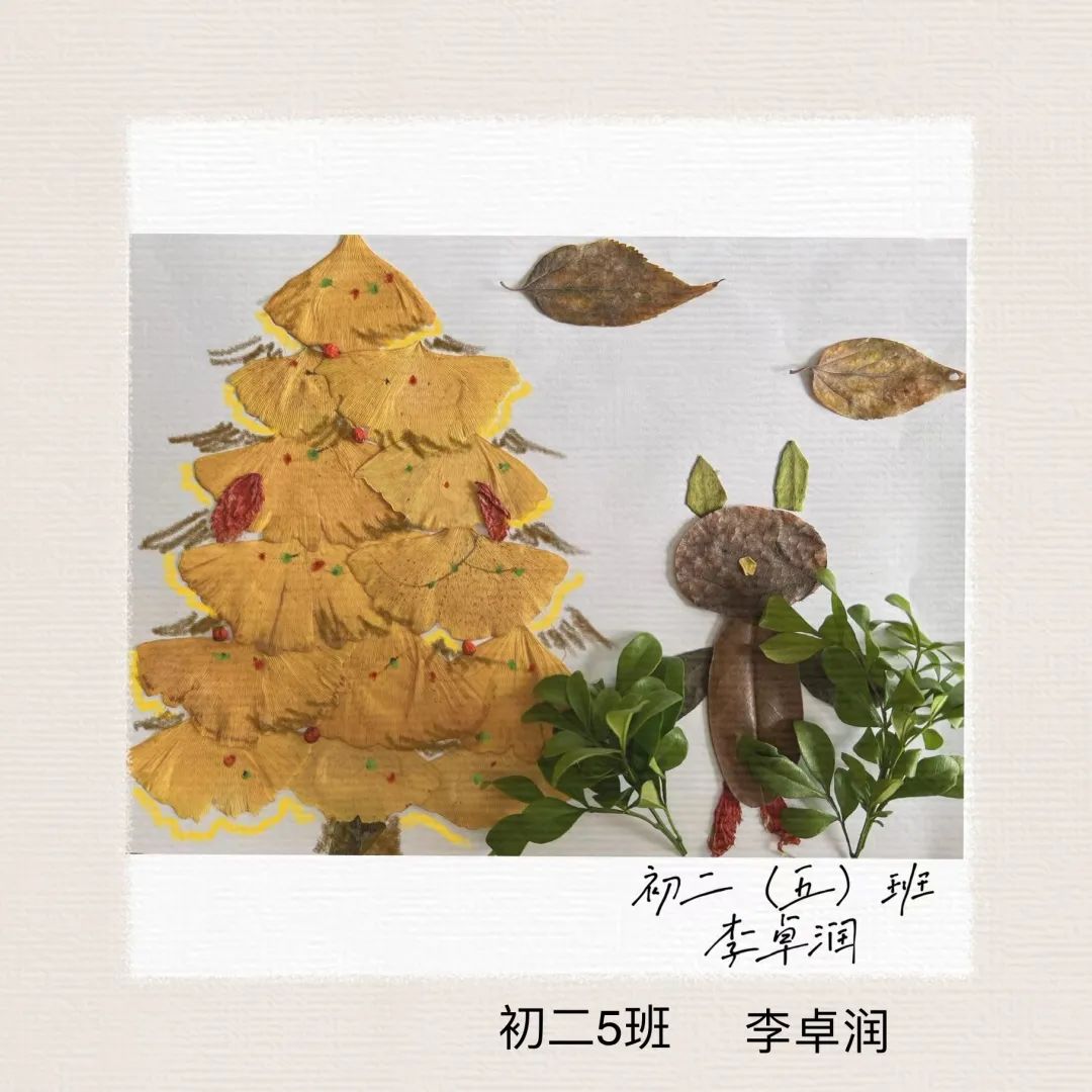 盘龙教育(微信)