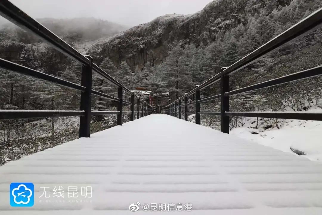 昆明信息港