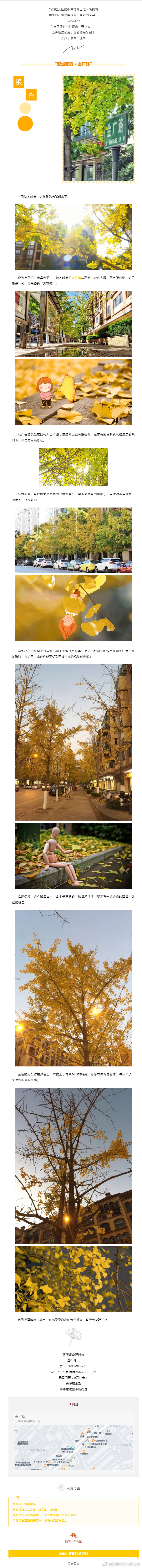 旅游新发现丨被刷屏了！初冬之旅天花板，含“金”量满满！