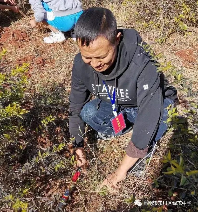 东川教育(微信)