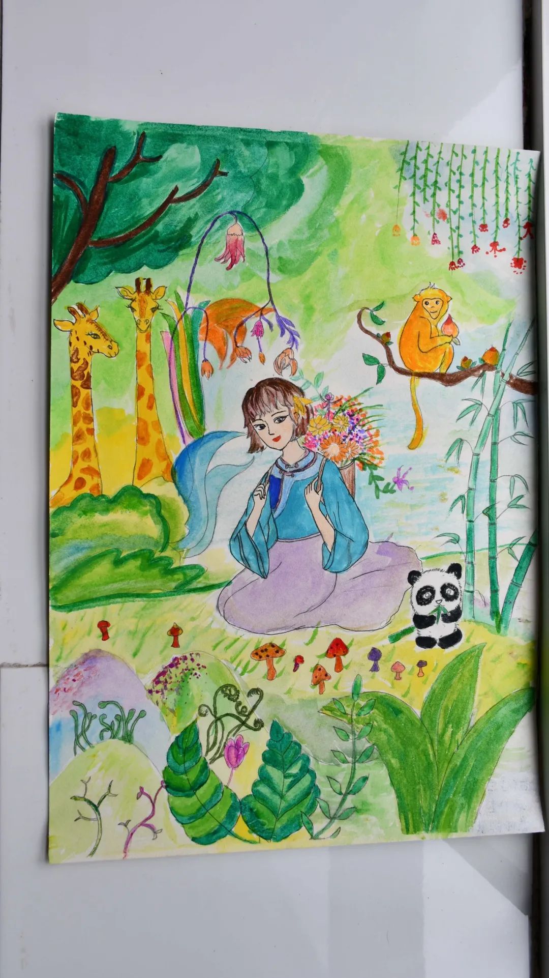 盘龙教育(微信)