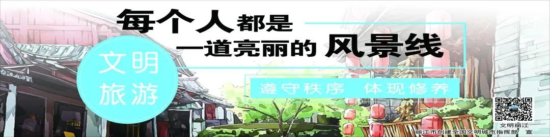 丽江日报