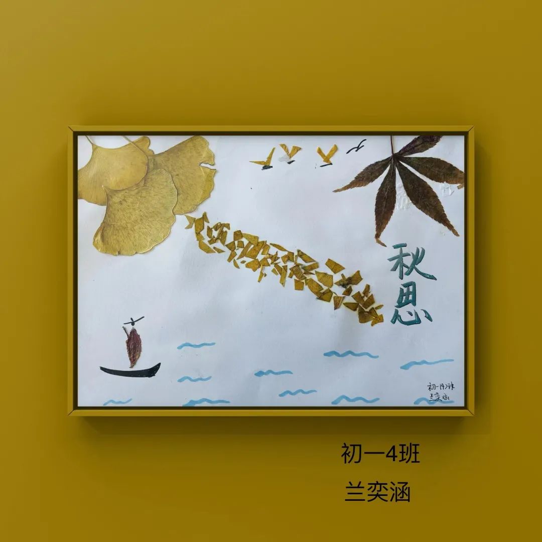 盘龙教育(微信)