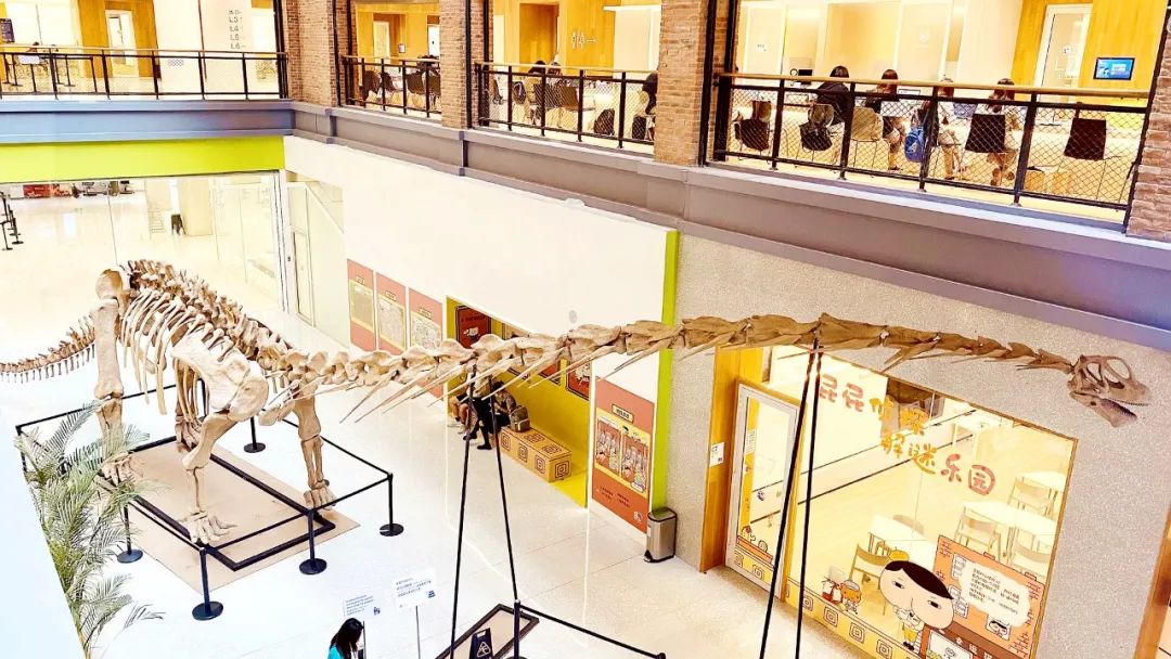 盘龙教育(微信)