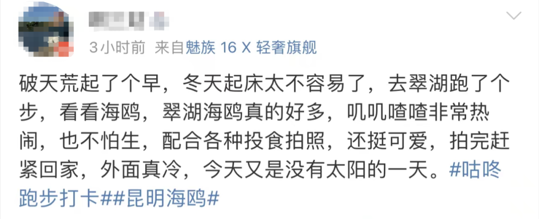 掌上春城微信公众号