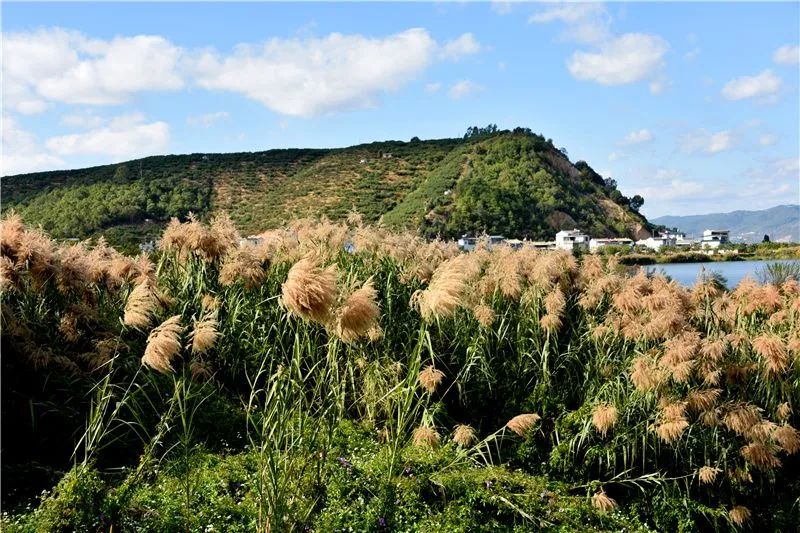 红河文旅
