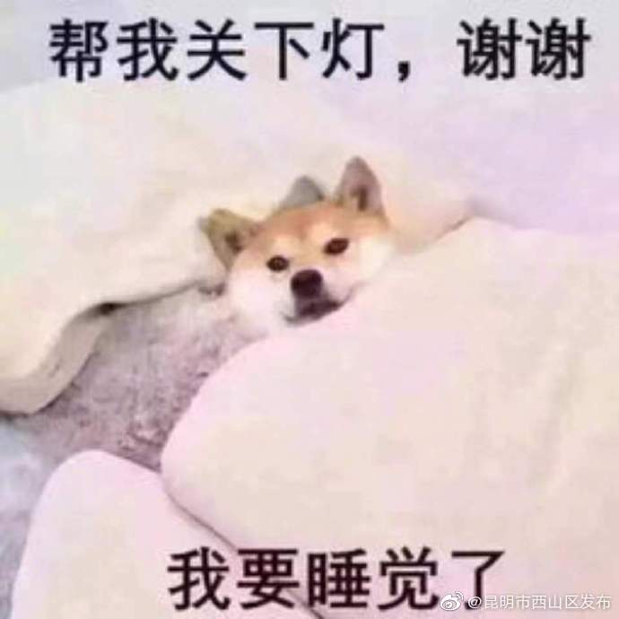 人为什么需要睡眠 