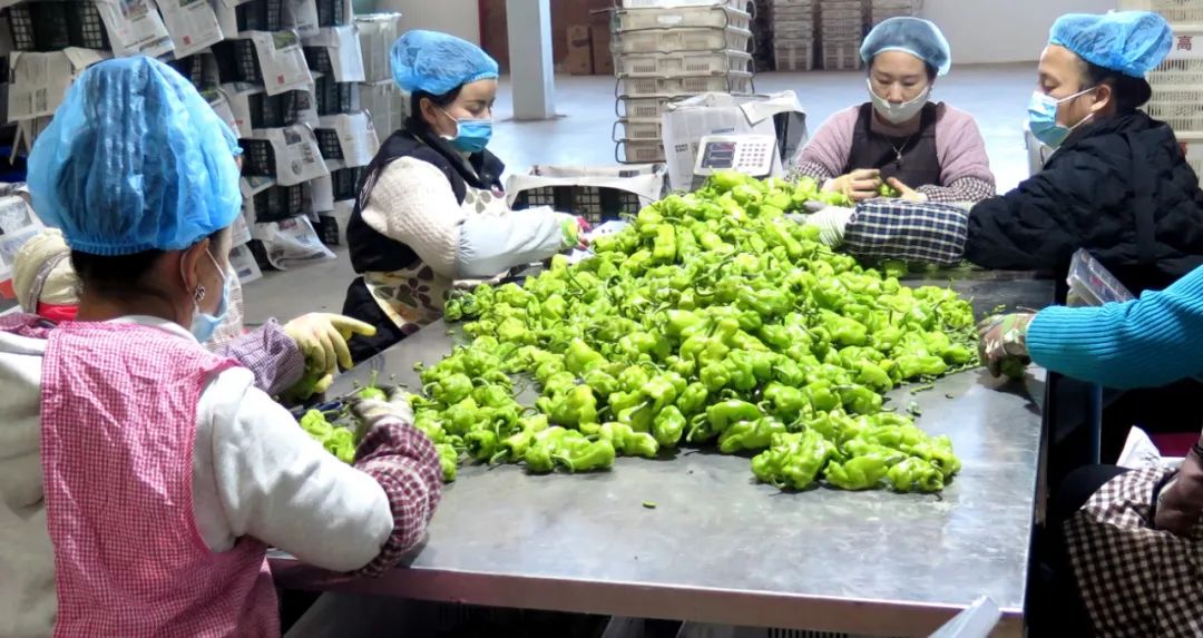 玉溪发布
