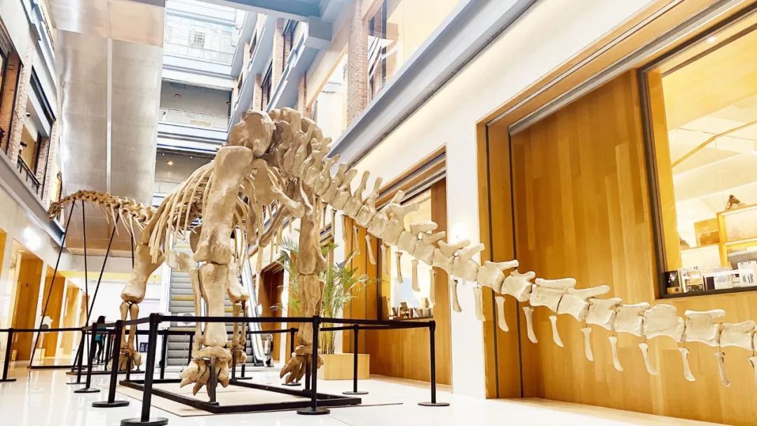 盘龙教育(微信)