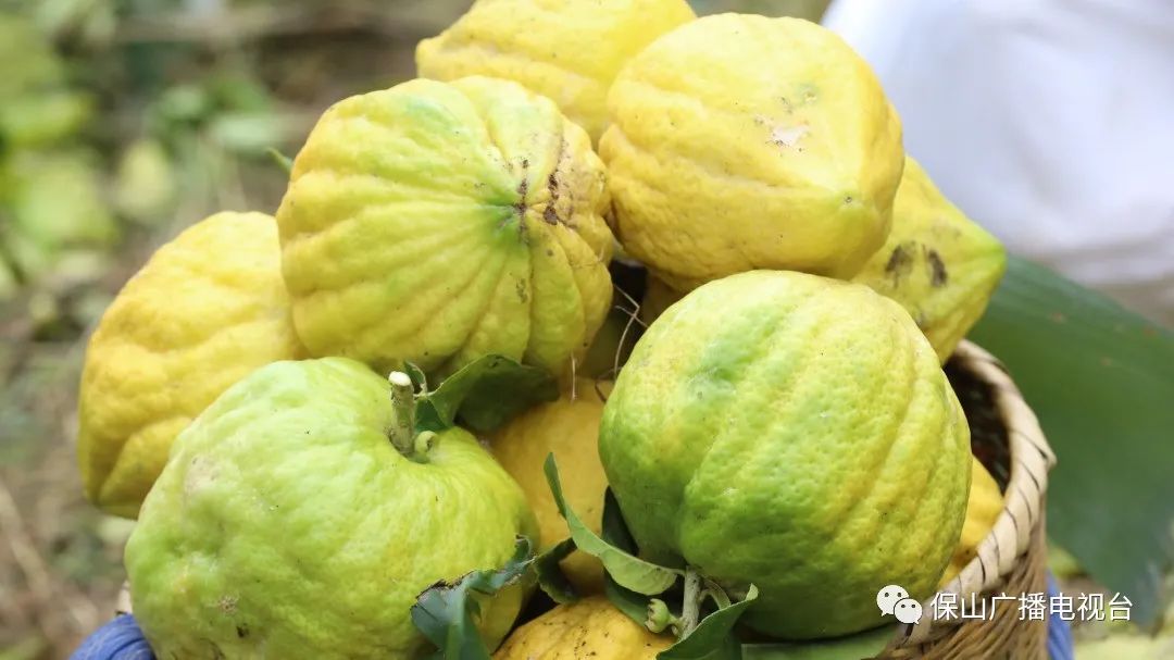 保山广播电视台