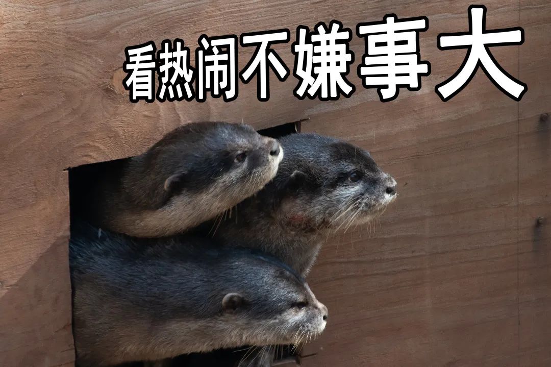 昆明动物园