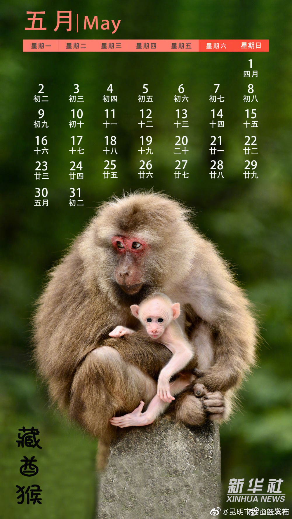 “昆明市西山区发布”微博