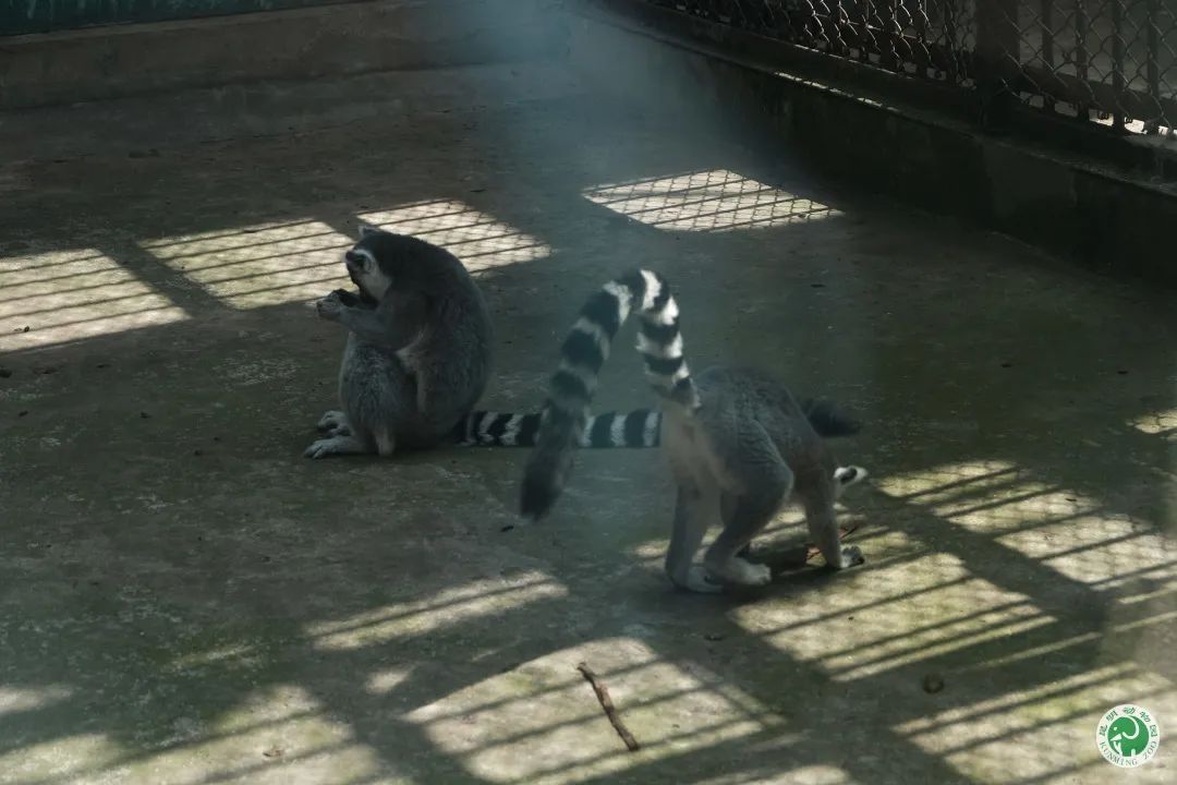 昆明动物园