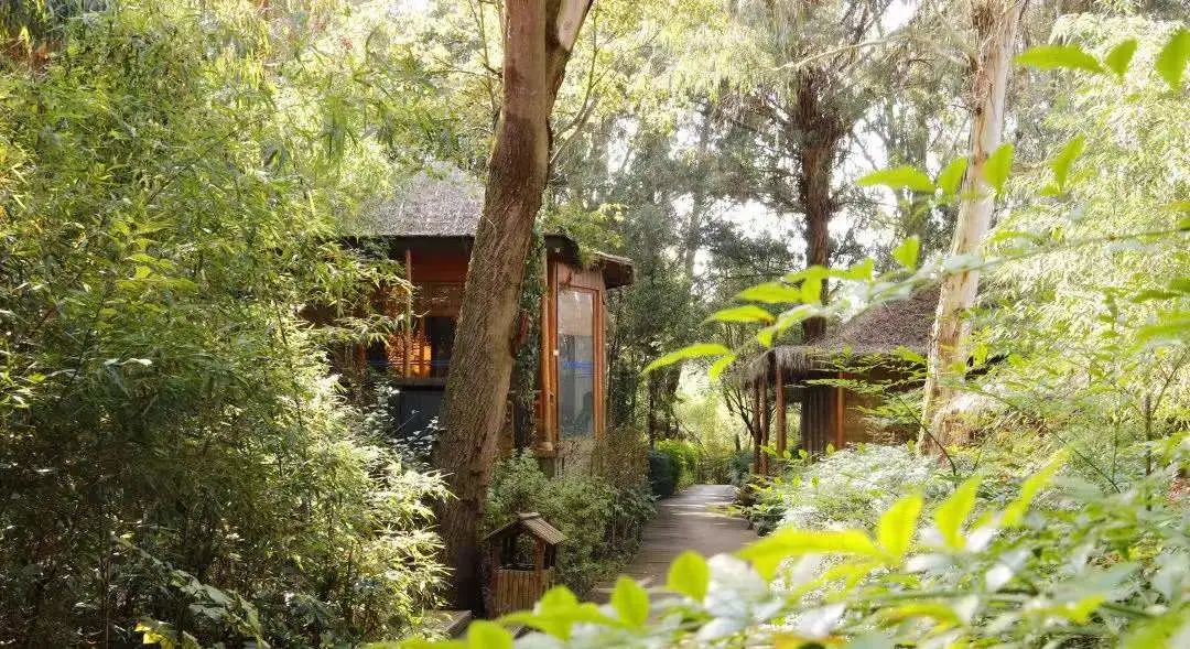 云南野生动物园