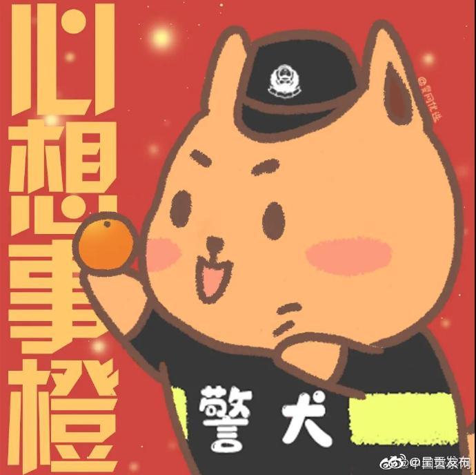 呈贡发布