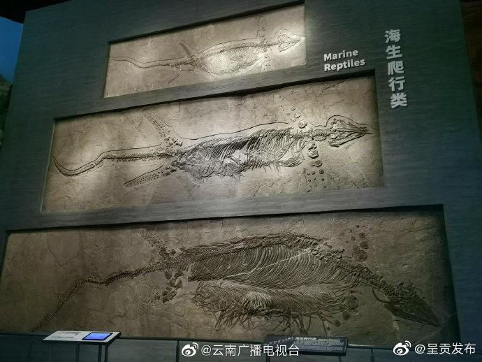 呈贡发布