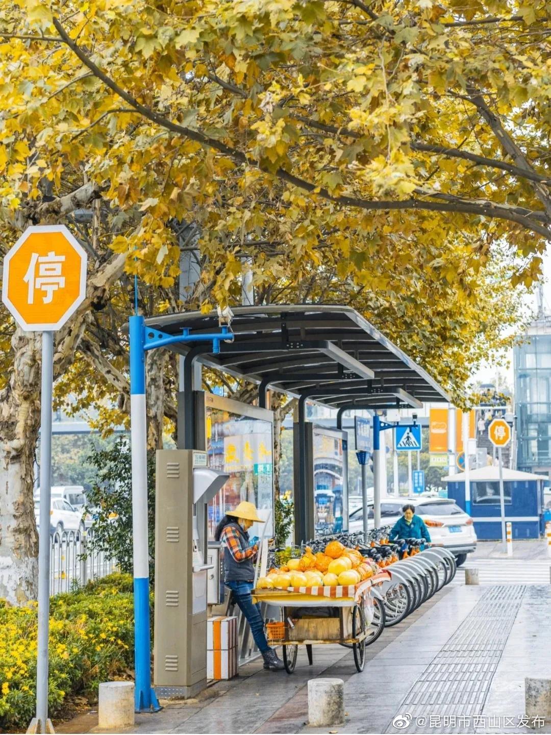 “昆明市西山区发布”微博