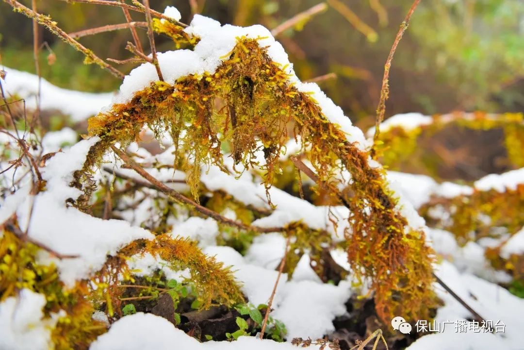 保山广播电视台