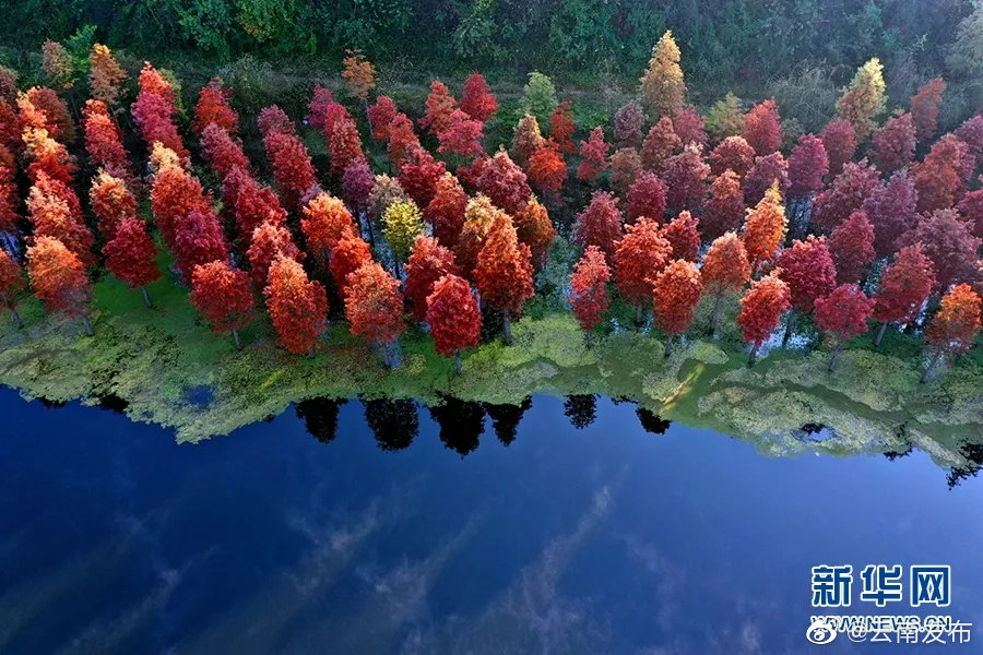 “云南发布”微博