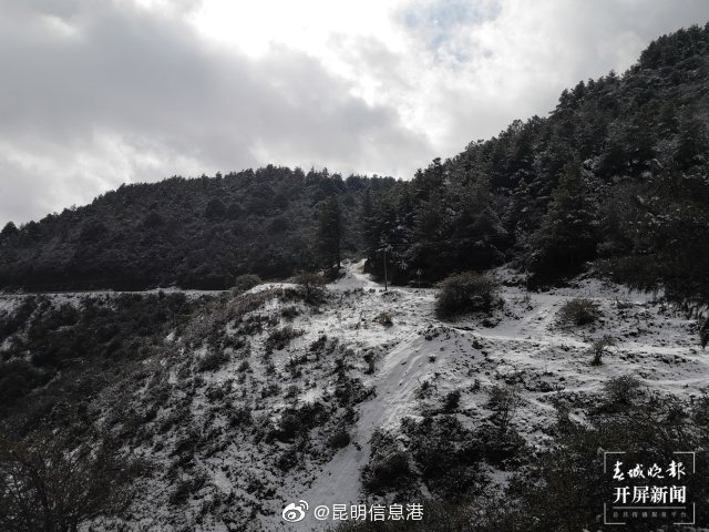 昆明信息港