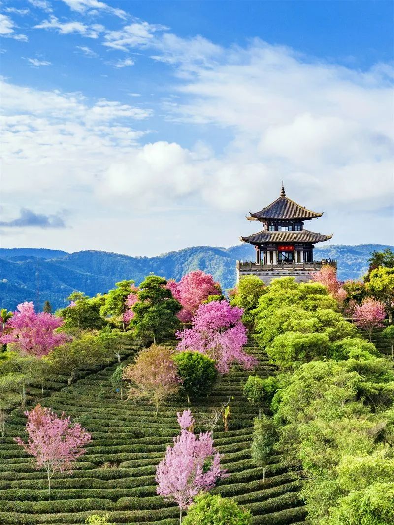 文旅云南
