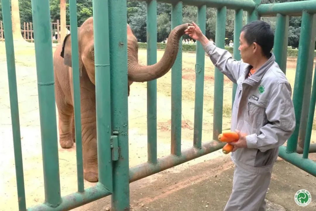 昆明动物园