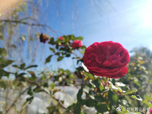昆明晋宁发布