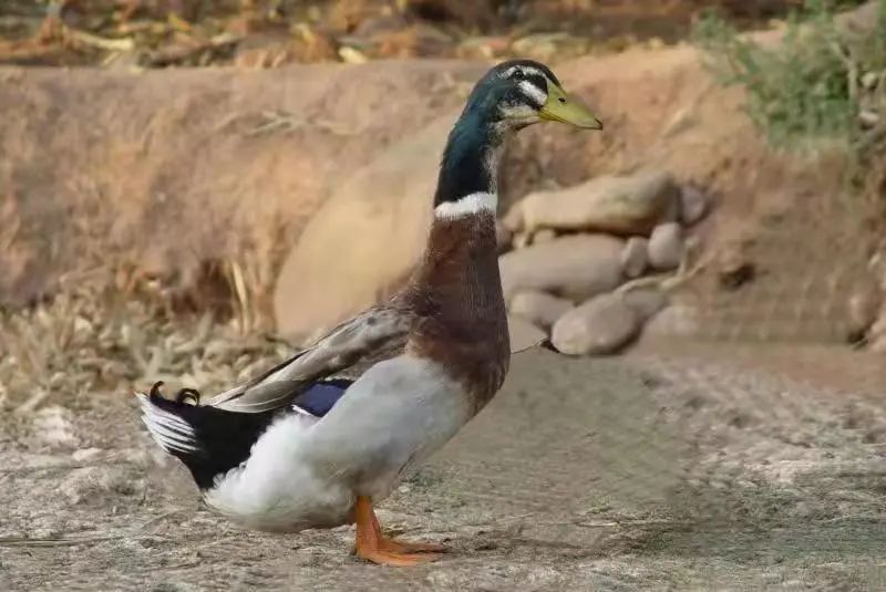 昆明信息港/cnkmxxg