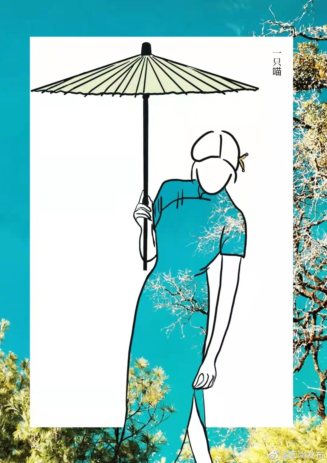 “云南发布”微博