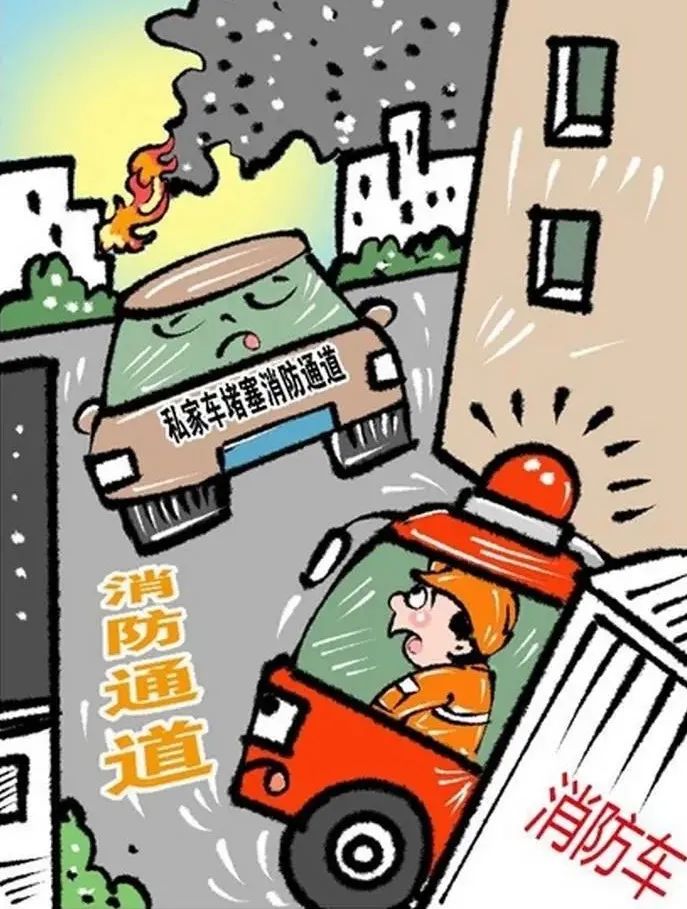 云南法制报