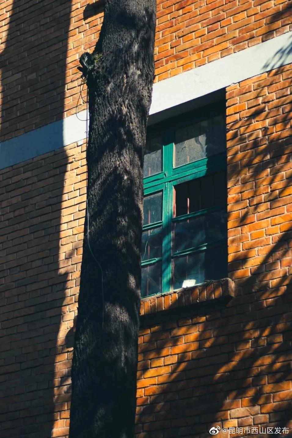 “昆明市西山区发布”微博